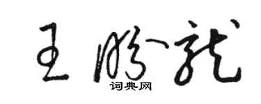 駱恆光王盼龍草書個性簽名怎么寫