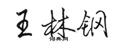 駱恆光王林鋼行書個性簽名怎么寫