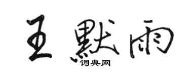駱恆光王默雨行書個性簽名怎么寫