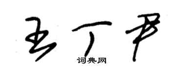 朱錫榮王丁尹草書個性簽名怎么寫