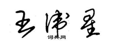 朱錫榮王衛星草書個性簽名怎么寫