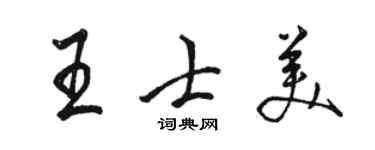 駱恆光王士美行書個性簽名怎么寫