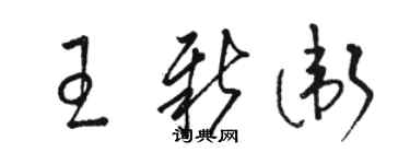 駱恆光王新衛草書個性簽名怎么寫