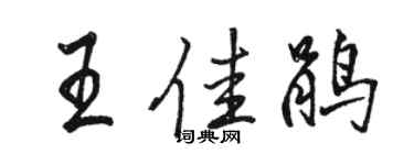 駱恆光王佳鵑行書個性簽名怎么寫