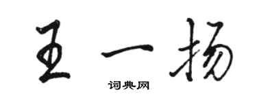 駱恆光王一揚行書個性簽名怎么寫