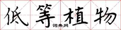 周炳元低等植物楷書怎么寫