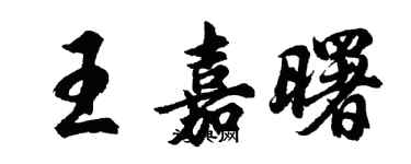 胡問遂王嘉曙行書個性簽名怎么寫