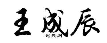 胡問遂王成辰行書個性簽名怎么寫