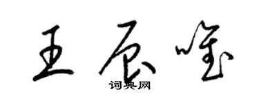 梁錦英王辰唯草書個性簽名怎么寫