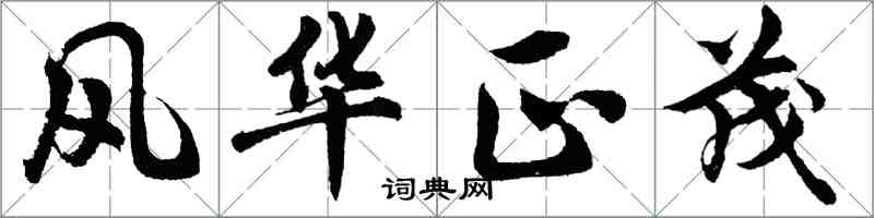 胡問遂風華正茂行書怎么寫