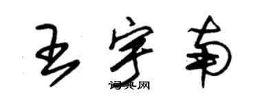 朱錫榮王宇南草書個性簽名怎么寫