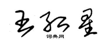 朱錫榮王紅星草書個性簽名怎么寫