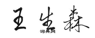 駱恆光王生森行書個性簽名怎么寫