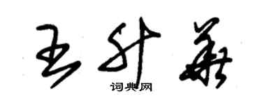 朱錫榮王升華草書個性簽名怎么寫
