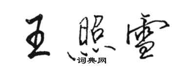 駱恆光王照雪行書個性簽名怎么寫