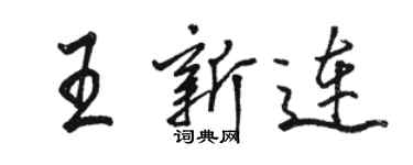 駱恆光王新連行書個性簽名怎么寫