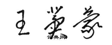 駱恆光王冀蒙草書個性簽名怎么寫