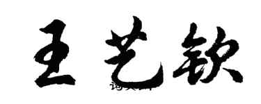 胡問遂王藝欽行書個性簽名怎么寫