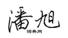 駱恆光潘旭行書個性簽名怎么寫