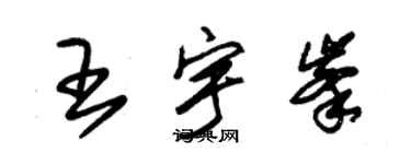 朱錫榮王宇峰草書個性簽名怎么寫