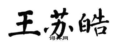 翁闓運王蘇皓楷書個性簽名怎么寫