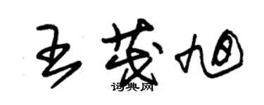 朱錫榮王茂旭草書個性簽名怎么寫