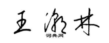 梁錦英王潮林草書個性簽名怎么寫