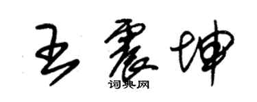 朱錫榮王震坤草書個性簽名怎么寫