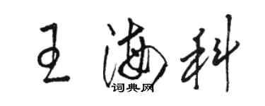 駱恆光王海科草書個性簽名怎么寫