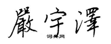 王正良嚴宇澤行書個性簽名怎么寫