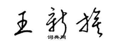 梁錦英王新旗草書個性簽名怎么寫