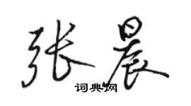 駱恆光張晨行書個性簽名怎么寫