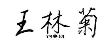 王正良王林菊行書個性簽名怎么寫