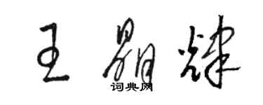 駱恆光王晶輝草書個性簽名怎么寫