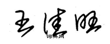 朱錫榮王佳旺草書個性簽名怎么寫