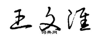 曾慶福王文淮草書個性簽名怎么寫