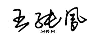 朱錫榮王純鳳草書個性簽名怎么寫