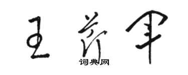 駱恆光王芹軍草書個性簽名怎么寫