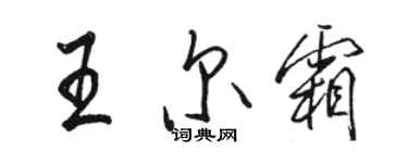 駱恆光王爾霜行書個性簽名怎么寫