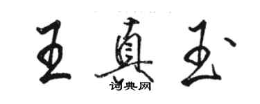 駱恆光王真玉行書個性簽名怎么寫