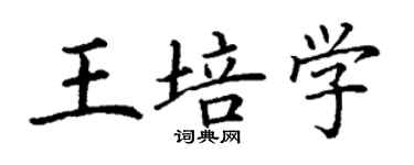 丁謙王培學楷書個性簽名怎么寫