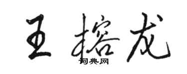 駱恆光王榕龍行書個性簽名怎么寫