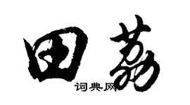 胡問遂田荔行書個性簽名怎么寫
