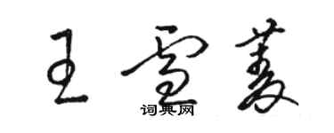 駱恆光王雪菱草書個性簽名怎么寫