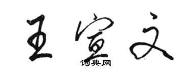 駱恆光王宣文行書個性簽名怎么寫