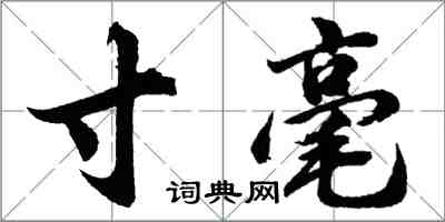 胡問遂寸毫行書怎么寫