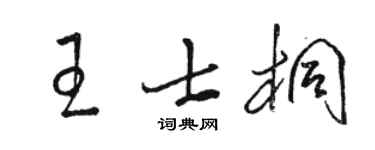駱恆光王士桐草書個性簽名怎么寫