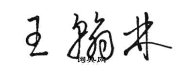 駱恆光王翰林草書個性簽名怎么寫