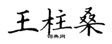 丁謙王柱桑楷書個性簽名怎么寫