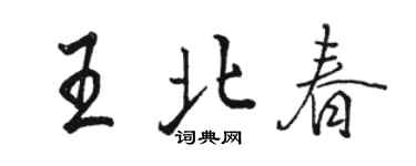 駱恆光王北春行書個性簽名怎么寫
